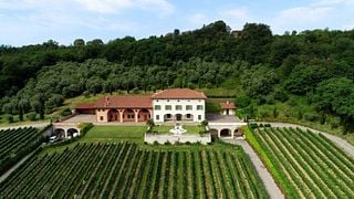 Degustação de vinhos e tour na Cantina Lovera