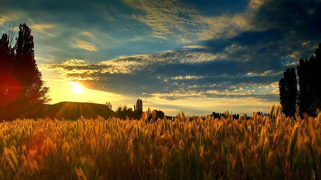 Rioja Private Tour von Bilbao