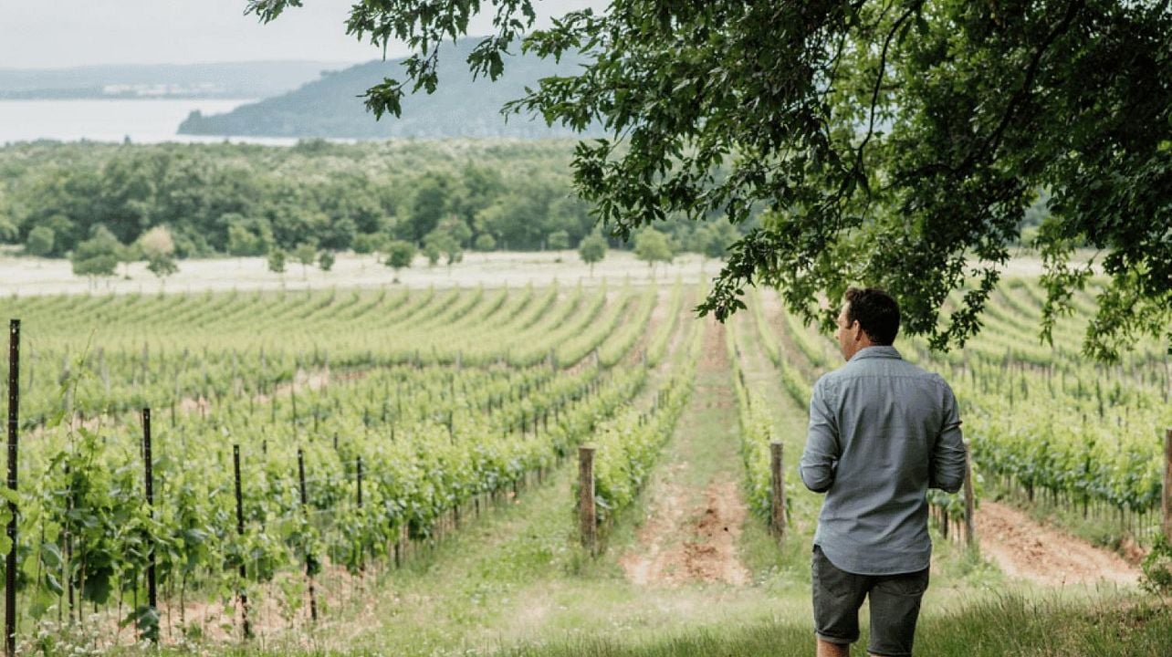Giro dei vigneti