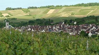Chablis-Verkostung im Domaine Clotilde Davenne auf Englisch