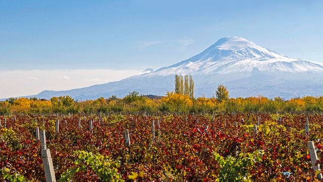 Klassische Weinprobe | Aparteny Wine