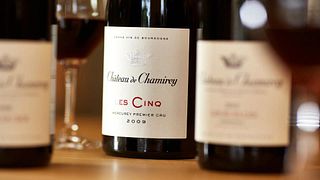 Weinprobe im Château De Chamirey