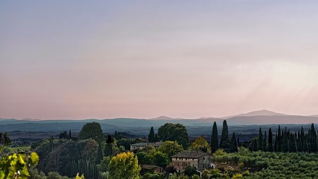 Visita à fazenda e degustação
