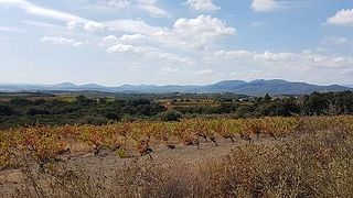 Degustazione di vini popolare al Domaine des Trinités