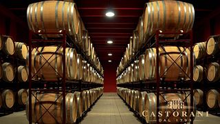 Cata de vinos y visita guiada en Degani F.Lli Di Degani Aldo