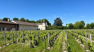 Taller de vinos y quesos en el Château Cruzeau
