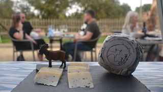 Dégustation de vins et fromages de Majorque