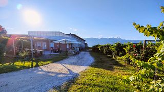 Bessich Wines