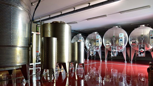 Dégustation de vins et visite chez Davinum