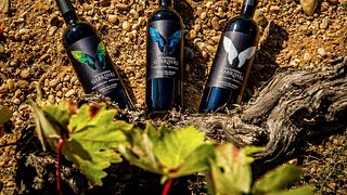 Bodega Astil