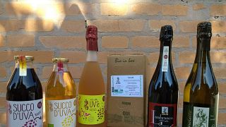 Folicello Società Agricola