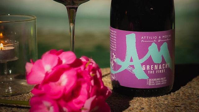 Attilio & Mochi Winery