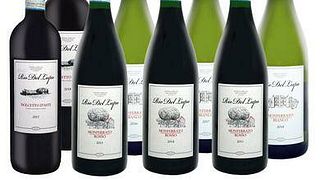 Cata de vinos y tour en Rio del Lupo