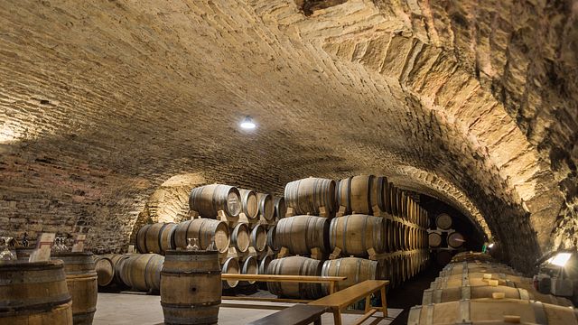 Weinprobe und Führung im Château de la Greffière