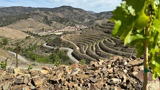 Weinprobe inmitten der Weinberge von Tentiber