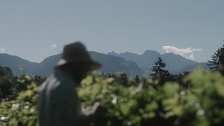 Passeio pela fazenda e degustação de vinhos em Thomas Niedermayr - Hof Gandberg