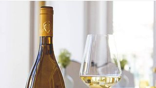 Dégustation de vins et visite à Quinta De Santiago