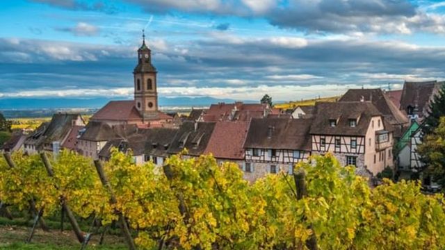 Tour VIP de vinhos da Alsácia com WineWeinVinoVin